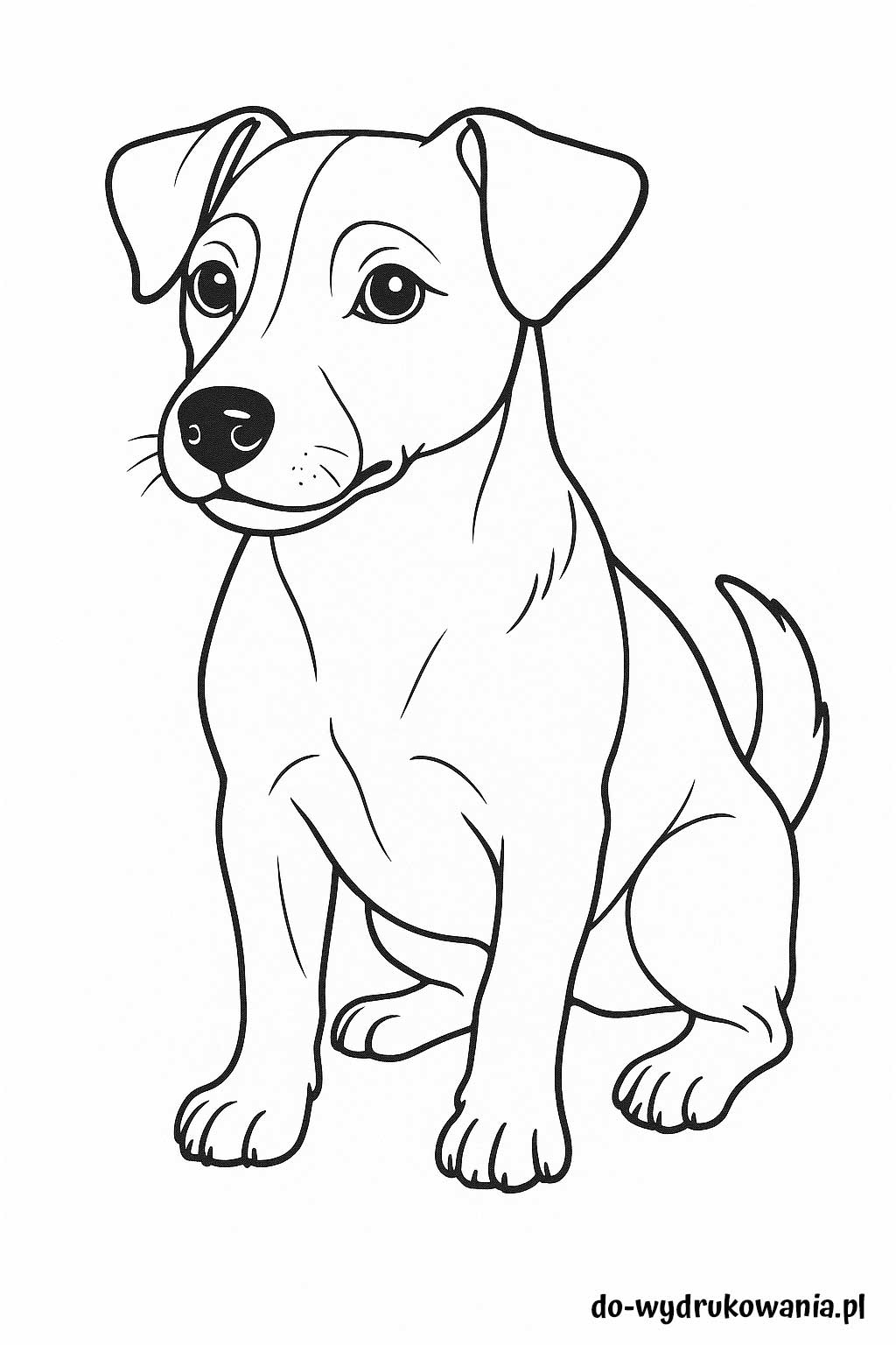 Kolorowanka Jack Russell Terrier do wydrukowania w formacie pdf