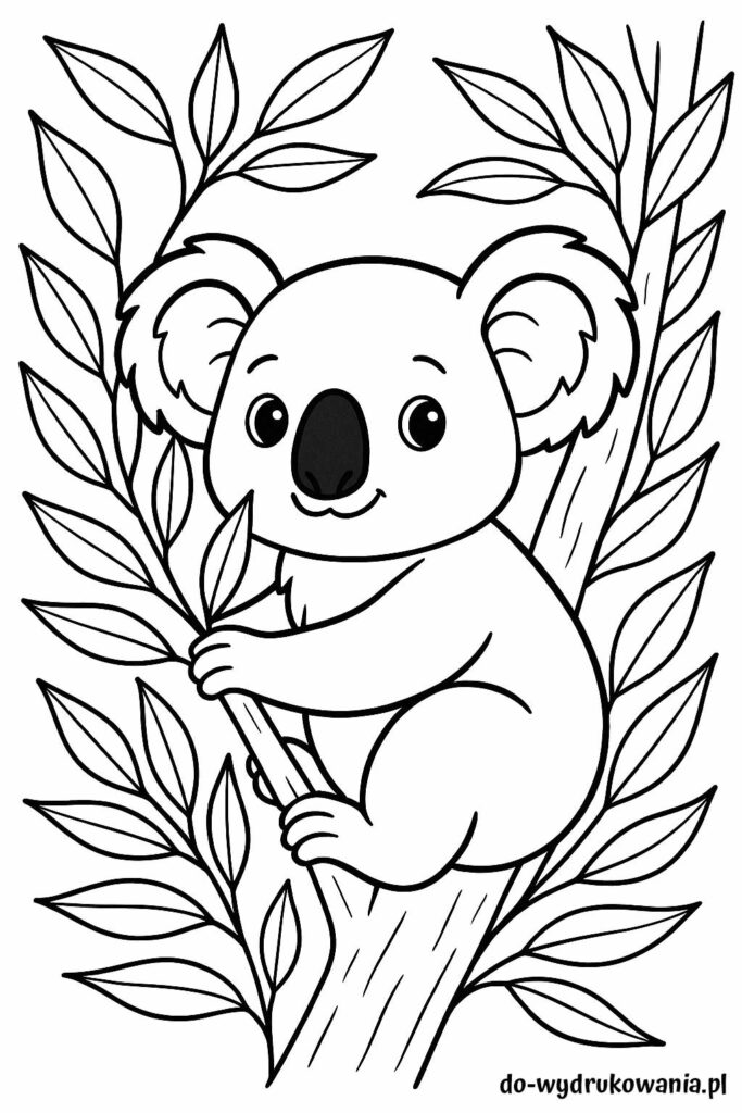 kolorowanka miś koala do wydrukowania w formacie pdf