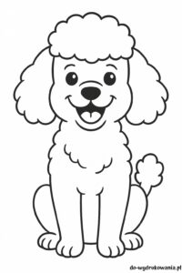 kolorowanka pudel do wydrukowania do wydrukowania w formacie pdf
