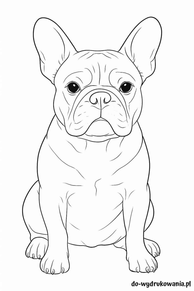 Kolorowanka Buldog francuski do wydrukowania w formacie pdf