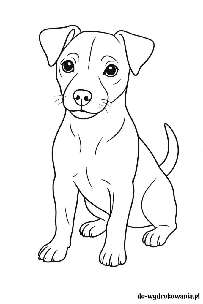Kolorowanka Jack Russel Terrier 2 do wydrukowania w formacie pdf