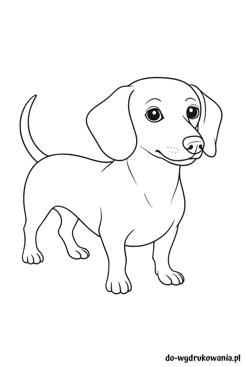 Kolorowanka Jamnik2 do wydrukowania w formacie pdf