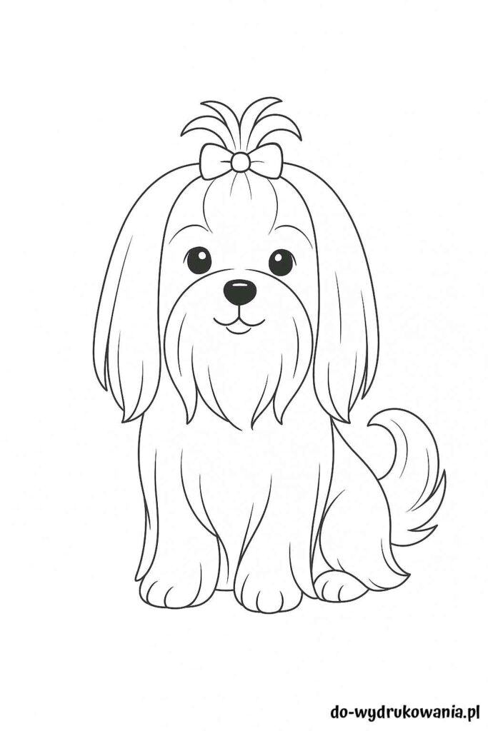 Kolorowanka Maltańczyk do wydrukowania w formacie pdf