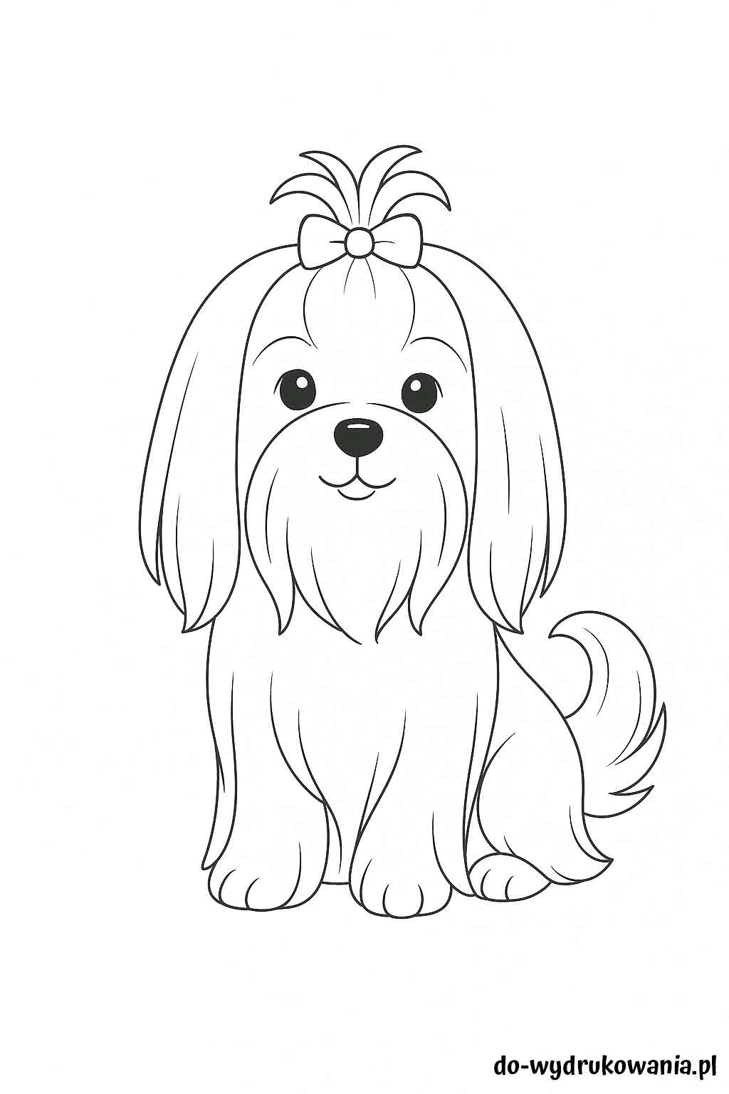 Kolorowanka Maltańczyk do wydrukowania w formacie pdf