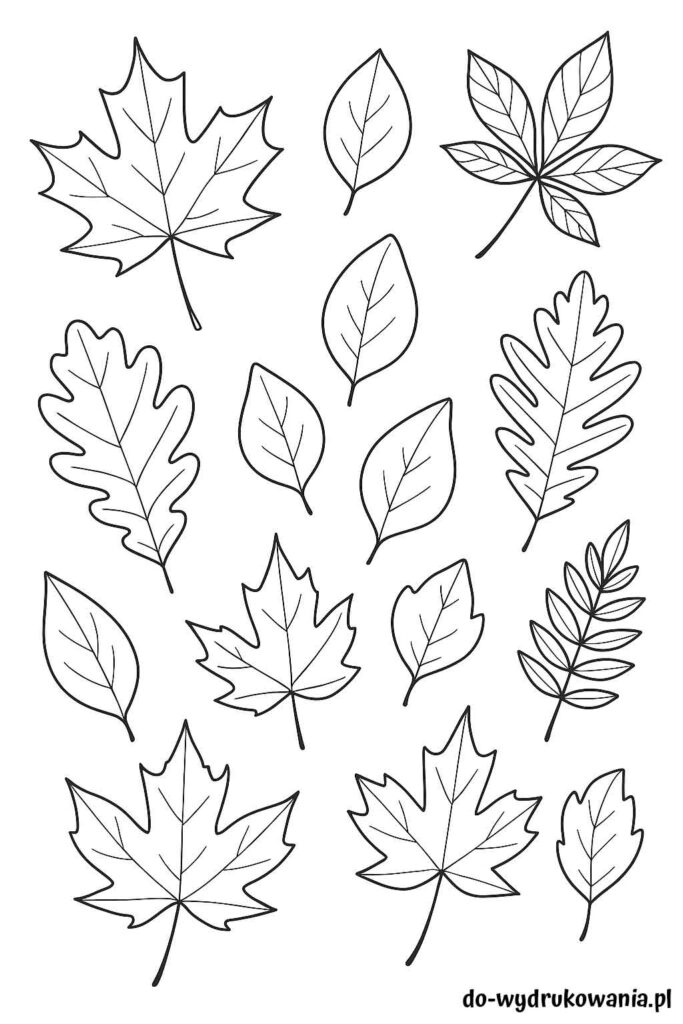 Kolorowanka jesienne liście do wydrukowania w formacie pdf