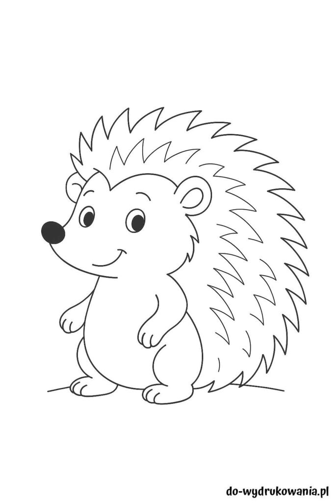 Kolorowanka jeż do wydrukowania w formacie pdf