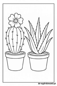 Kolorowanka kaktus i aloes do wydrukowania w formacie pdf