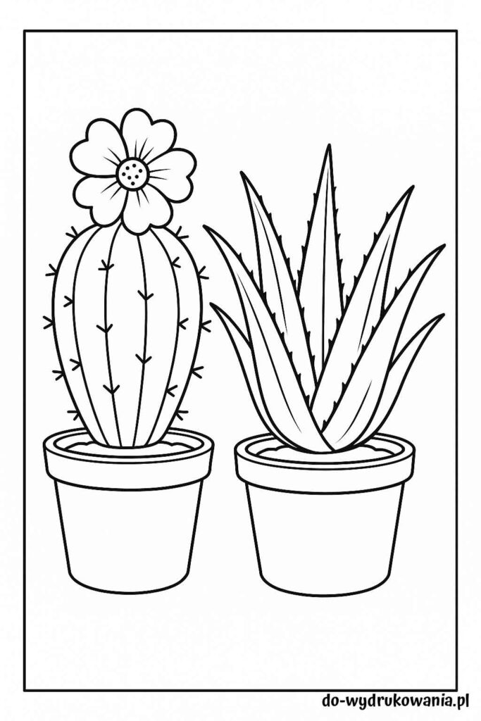 Kolorowanka kaktus i aloes do wydrukowania w formacie pdf