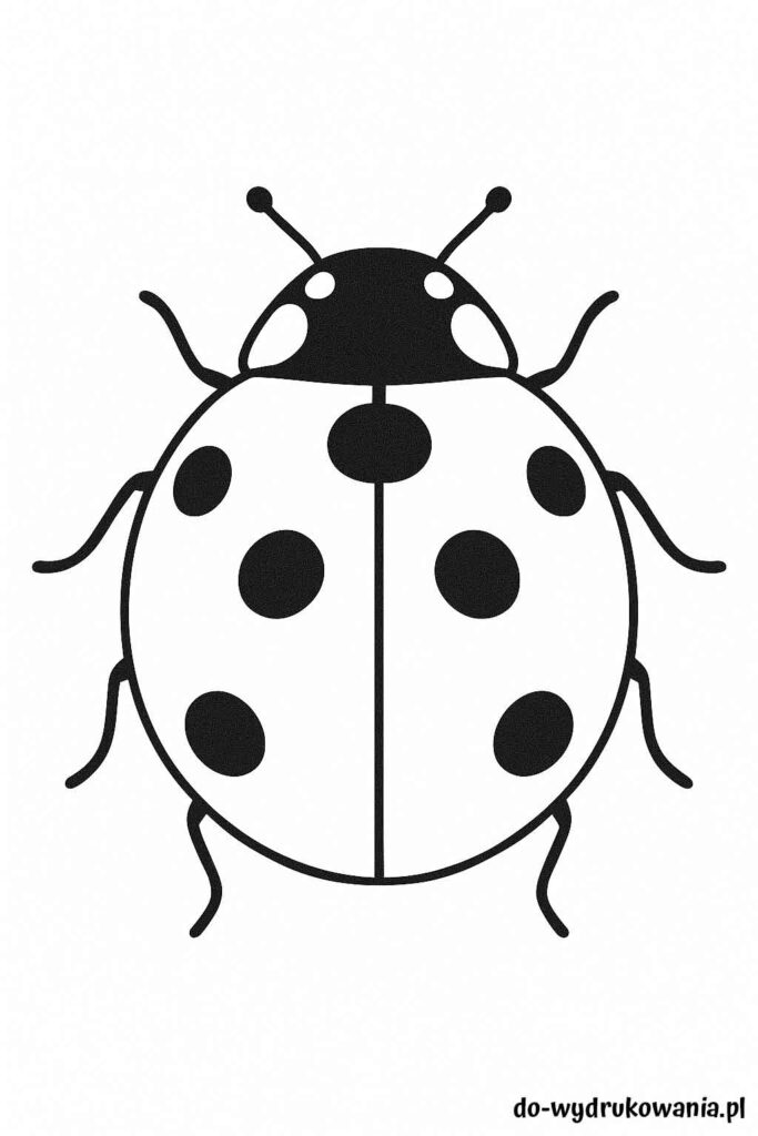 kolorowanka biedronka do wydrukowania w formacie pdf