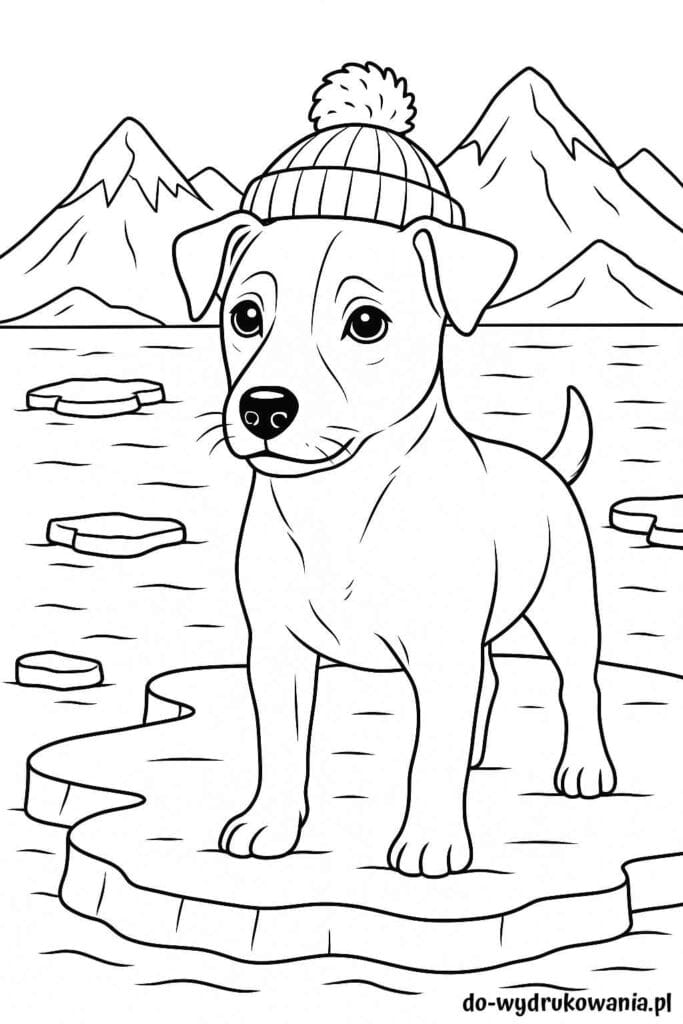 Kolorowanka Borys na krze lodowej do wydrukowania w formacie pdf