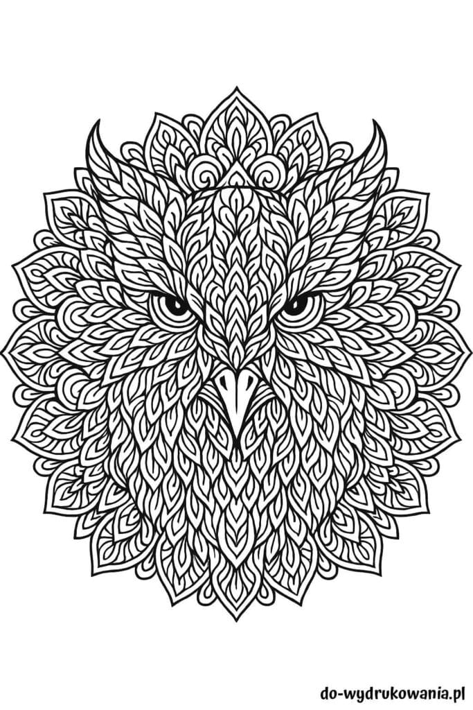 Kolorowanka mandele ukryta sowa do wydrukowania w formacie pdf