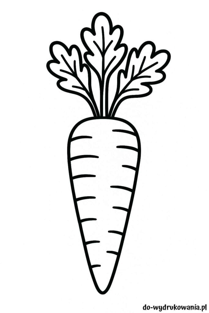 Kolorowanka marchewka do wydrukowania w formacie pdf