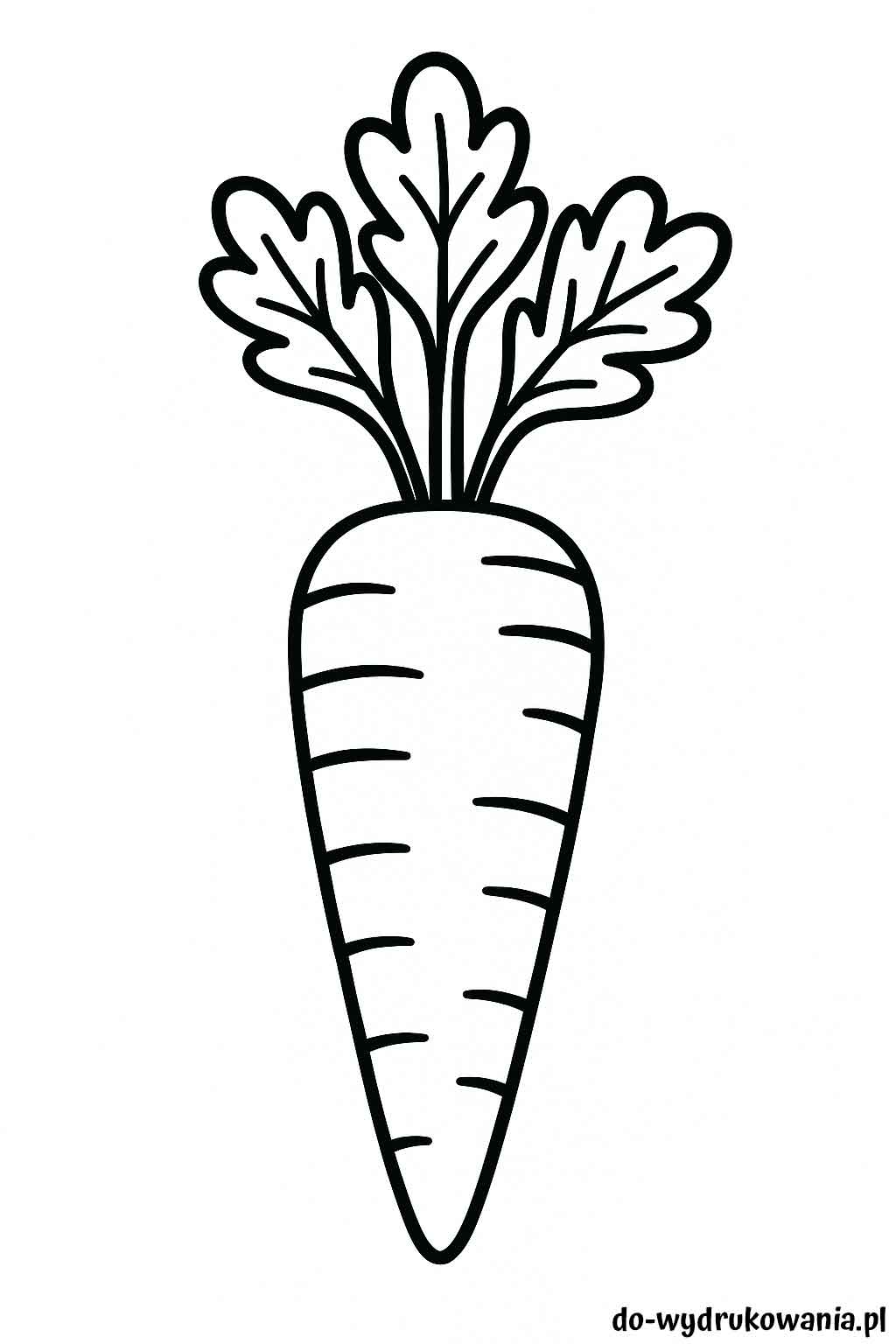 Kolorowanka marchewka do wydrukowania w formacie pdf