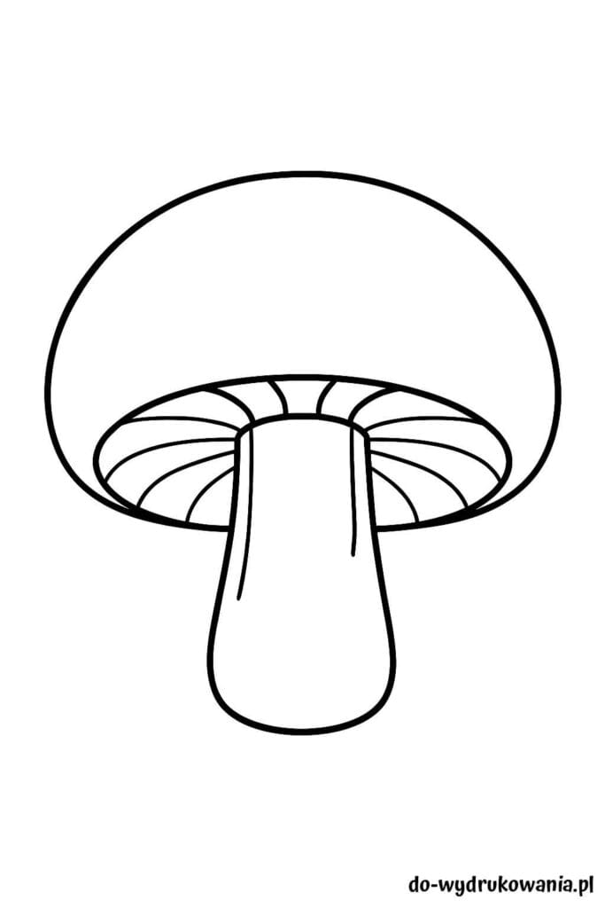 Kolorowanka pieczarka do wydrukowania w formacie pdf